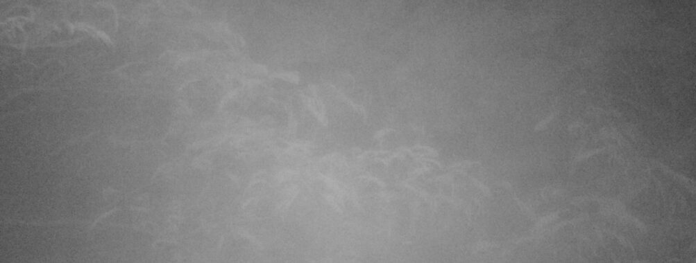 Jun 14 2025  3:00:31, #01