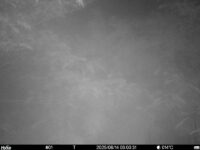Jun 14 2025  3:00:31, #01