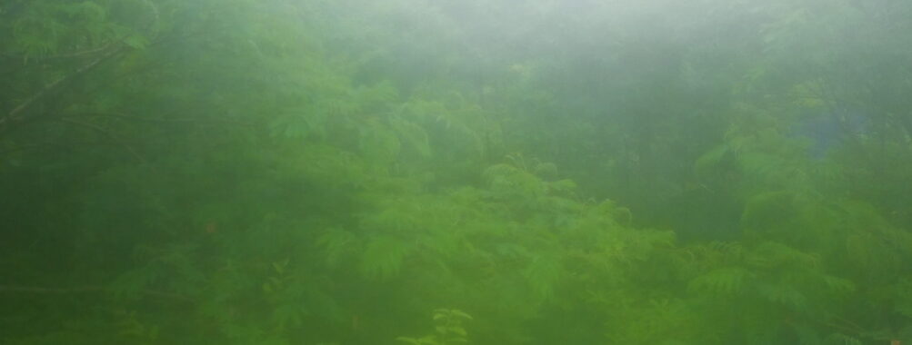 Jun 14 2025  6:00:31, #01