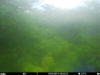 Jun 14 2025  6:00:31, #01
