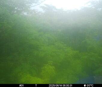 Jun 14 2025  6:00:31, #01