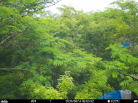 Jun 14 2025  9:00:32, #01