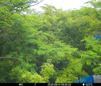 Jun 14 2025  9:00:32, #01