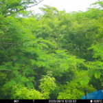 Jun 14 2025 12:00:32, #01