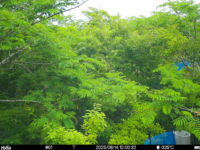 Jun 14 2025 12:00:32, #01