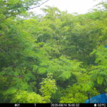 Jun 14 2025 15:00:31, #01