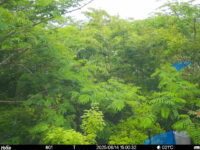 Jun 14 2025 15:00:31, #01