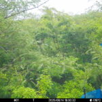 Jun 14 2025 18:00:32, #01