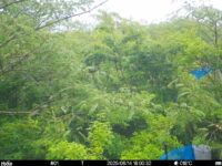 Jun 14 2025 18:00:32, #01