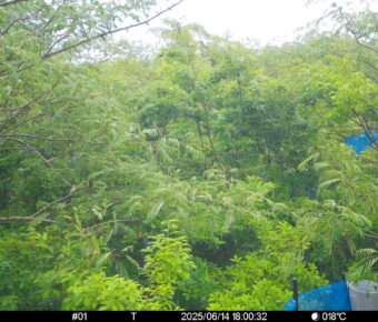 Jun 14 2025 18:00:32, #01