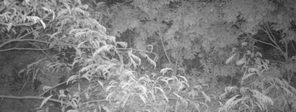 Jun 14 2025 21:00:32, #01