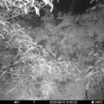 Jun 14 2025 21:00:32, #01