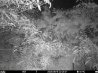 Jun 15 2025  0:00:31, #01