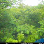 Jun 15 2025  6:00:32, #01