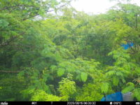 Jun 15 2025  6:00:32, #01