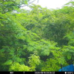 Jun 15 2025  9:00:31, #01