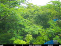 Jun 15 2025  9:00:31, #01