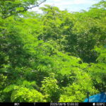 Jun 15 2025 12:00:32, #01