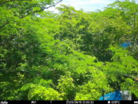 Jun 15 2025 12:00:32, #01