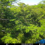 Jun 15 2025 15:00:31, #01