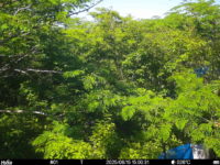 Jun 15 2025 15:00:31, #01