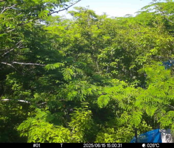 Jun 15 2025 15:00:31, #01