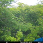 Jun 15 2025 18:00:32, #01
