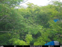 Jun 15 2025 18:00:32, #01