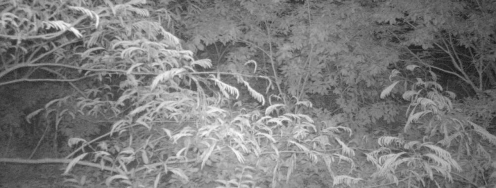 Jun 15 2025 21:00:32, #01