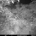 Jun 15 2025 21:00:32, #01