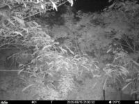 Jun 15 2025 21:00:32, #01