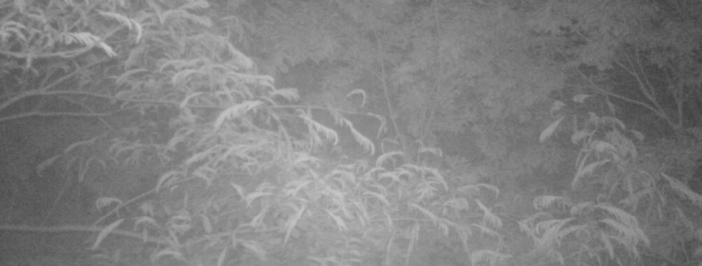 Jun 16 2025  0:00:31, #01