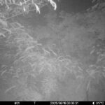Jun 16 2025  0:00:31, #01