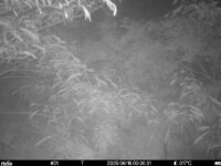 Jun 16 2025  0:00:31, #01