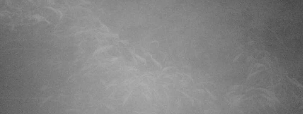 Jun 16 2025  3:00:30, #01