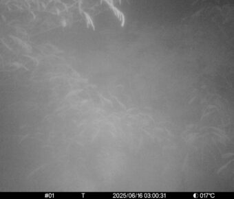 Jun 16 2025  3:00:30, #01