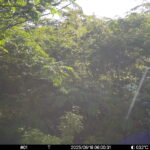 Jun 16 2025  6:00:31, #01