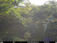 Jun 16 2025  6:00:31, #01
