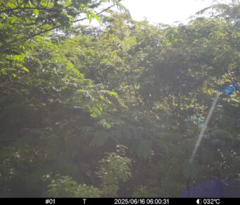Jun 16 2025  6:00:31, #01