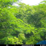 Jun 16 2025  9:00:31, #01