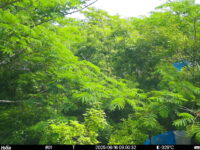 Jun 16 2025  9:00:31, #01