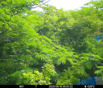 Jun 16 2025  9:00:31, #01
