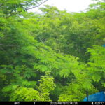 Jun 16 2025 12:00:31, #01