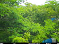 Jun 16 2025 12:00:31, #01