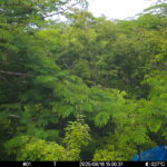 Jun 16 2025 15:00:31, #01