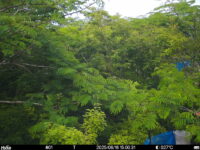 Jun 16 2025 15:00:31, #01