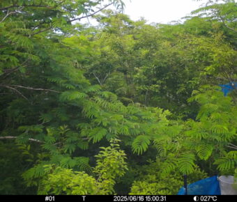 Jun 16 2025 15:00:31, #01