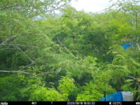 Jun 16 2025 18:00:32, #01