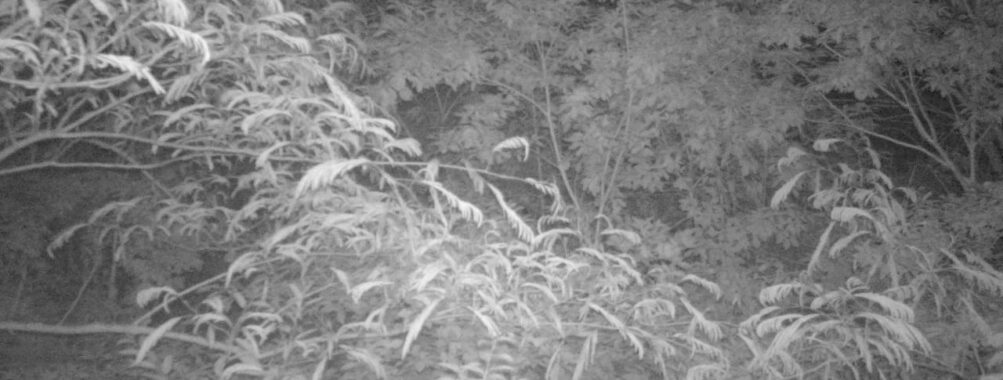 Jun 16 2025 21:00:32, #01