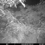 Jun 16 2025 21:00:32, #01